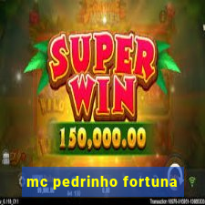 mc pedrinho fortuna